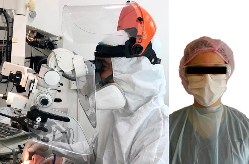 dentistaBio dentistaBio